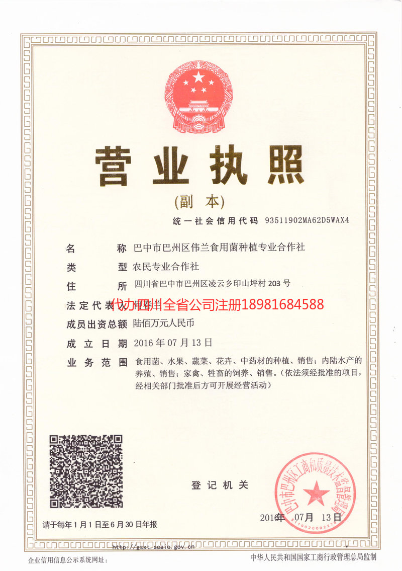 万源万源伟兰食用菌种植专业合作社